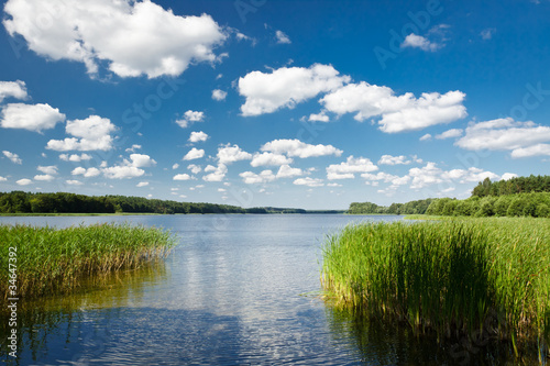 Fototapeta Naklejka Na Ścianę i Meble -  Summer view at the lake in the park