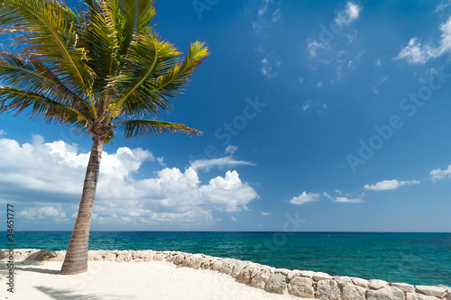Idyllic scenery of Caribbean sea with lonely palm tree