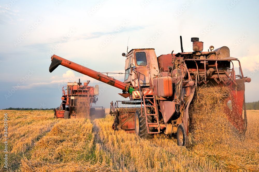 Obraz premium Combine harvesting