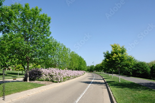 Photography Street With Landscaped Median