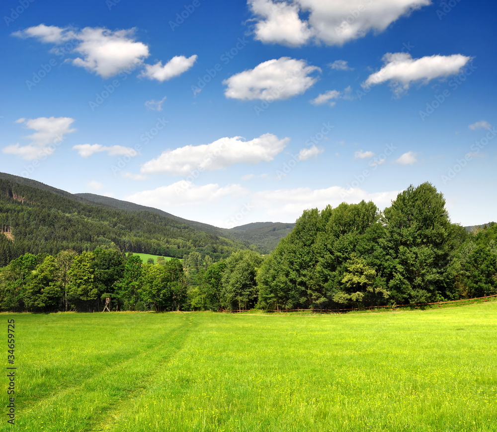 Spring landscape in the national park Sumava - Czech Republic Spring landscape in the national park Sumava - Czech Republic