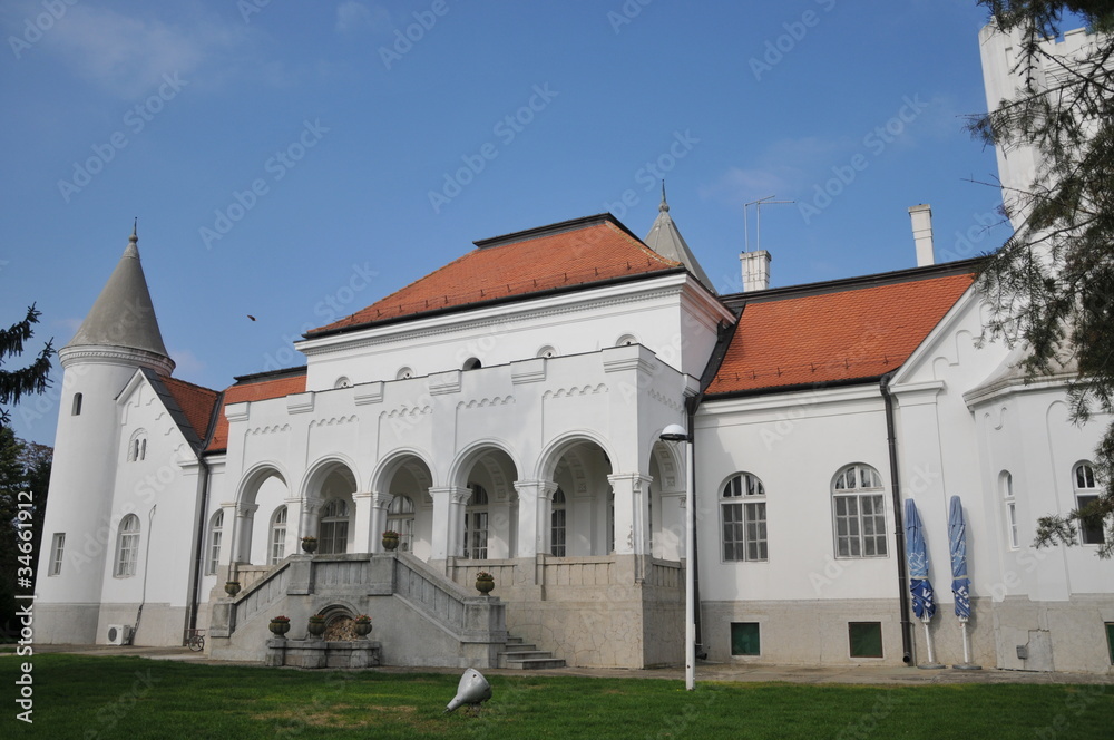 e castle of Count dunjdjerskog in Serbia