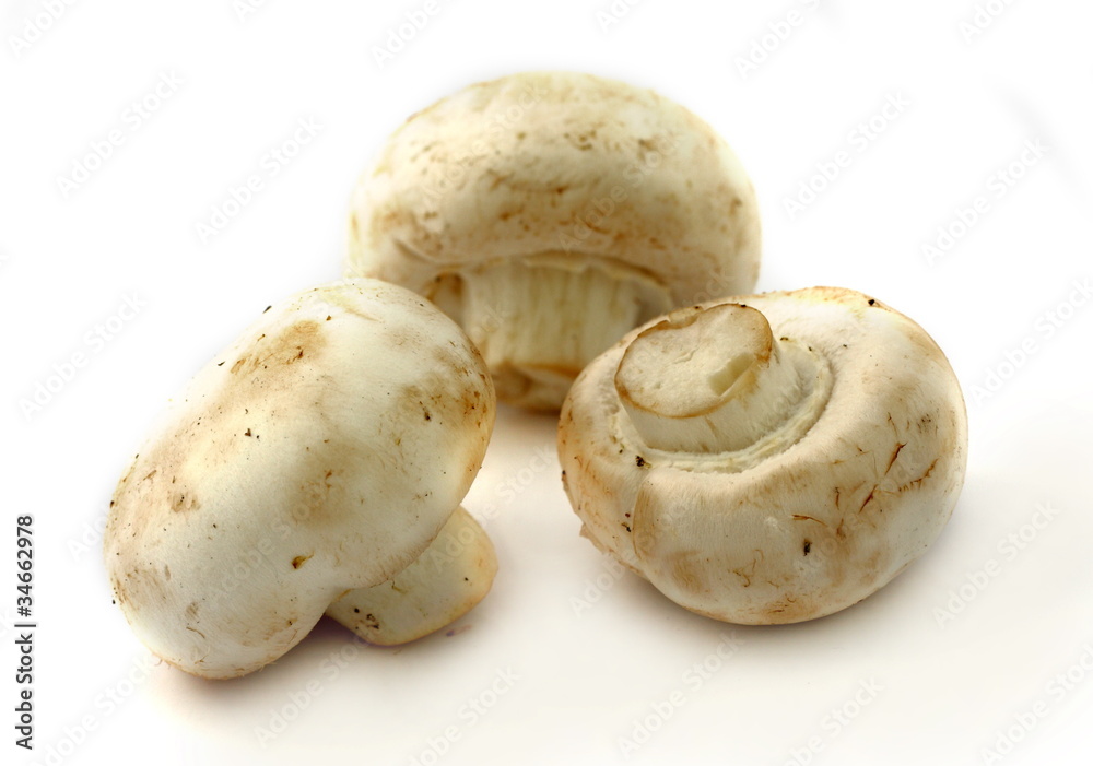 Mushrooms Mushrooms