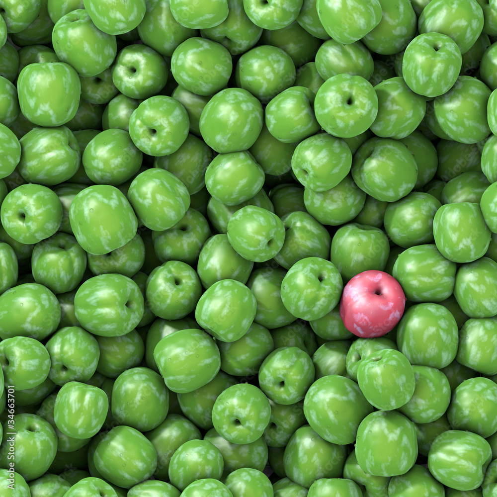 One red plum on several Green Gage plums One red plum on several Green Gage plums
