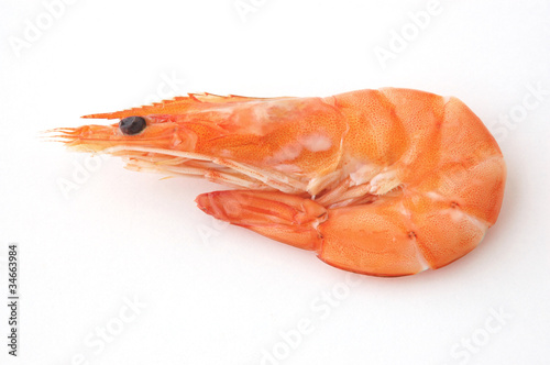 cooked shrimp on white background