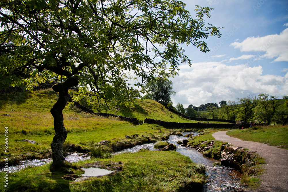 Obraz premium Beautiful landscape in Yorkshire Dales National Park in England