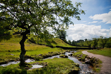 Fotobehang Zomer Yorkshire Dales nationaal park Engeland  © Kati Finell