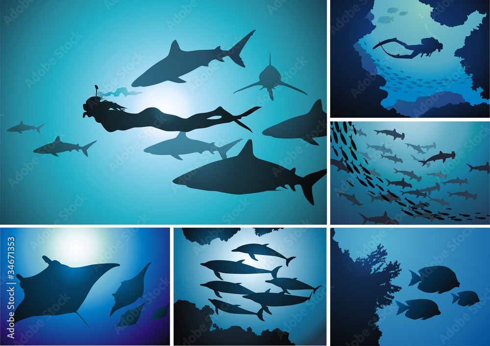 Naklejka premium The underwater world