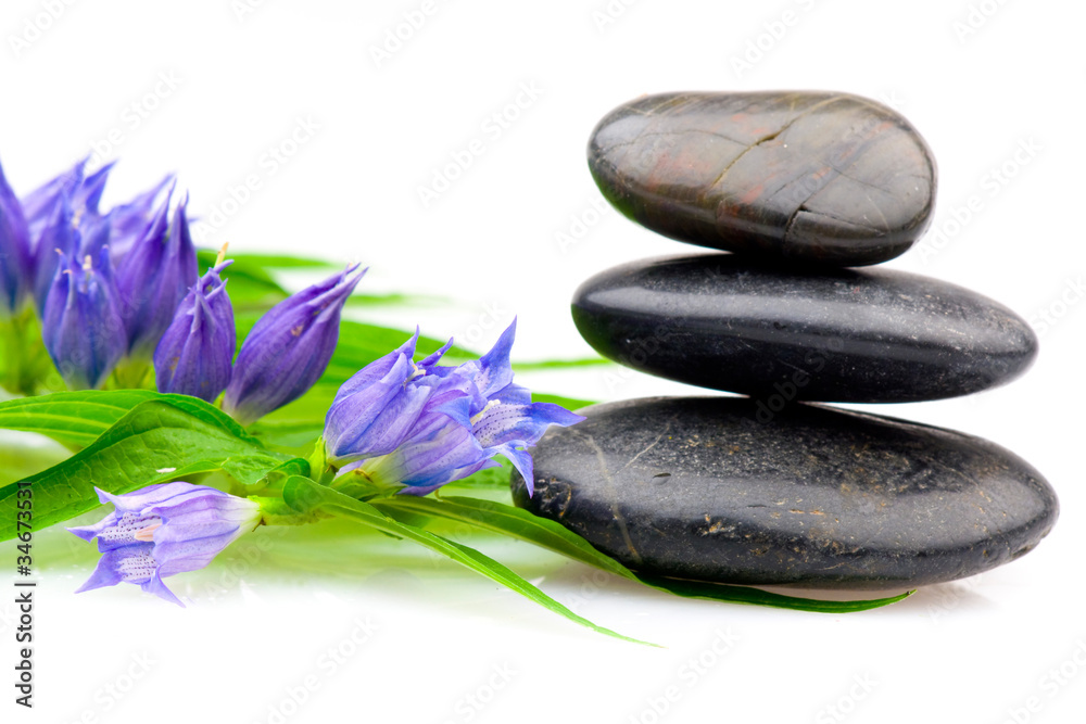 Fototapeta premium Spa still life