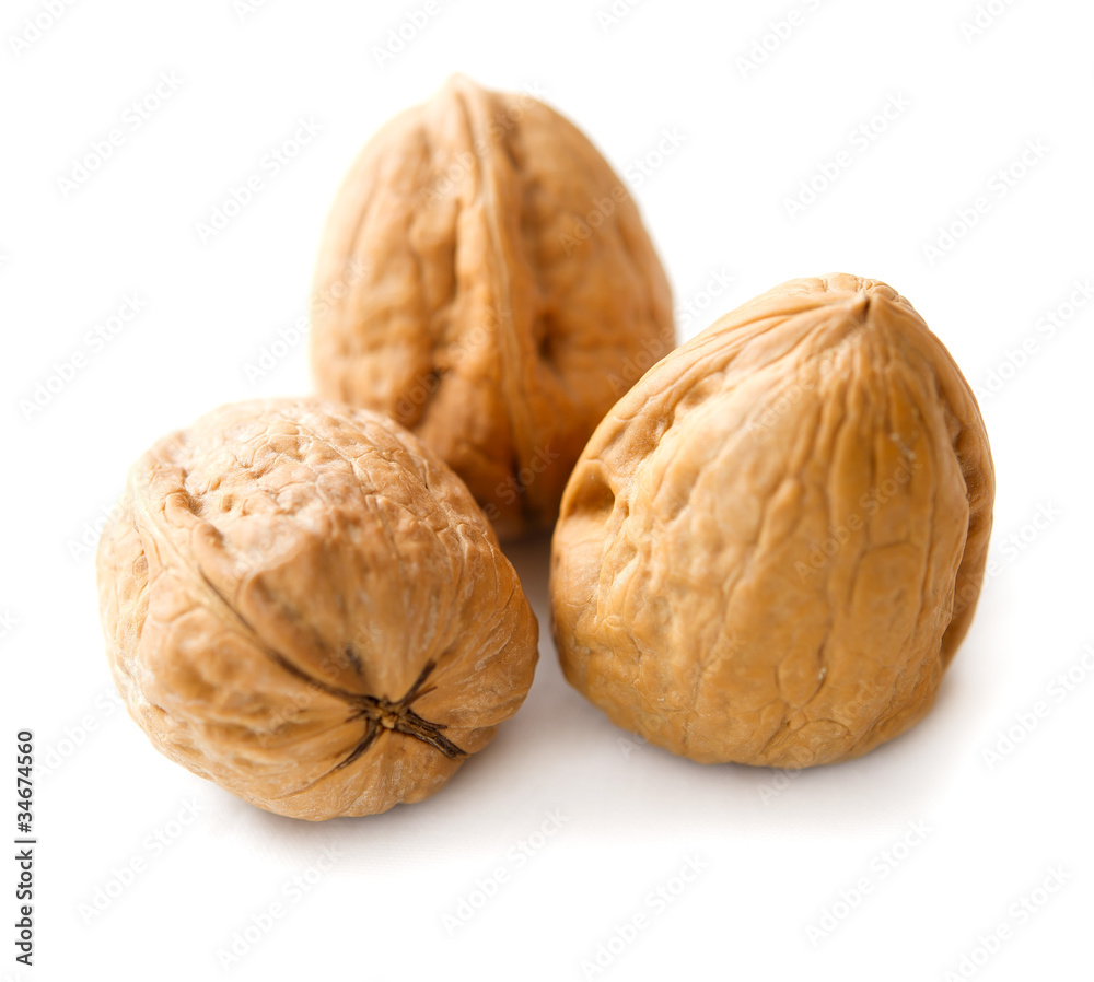 noci noci