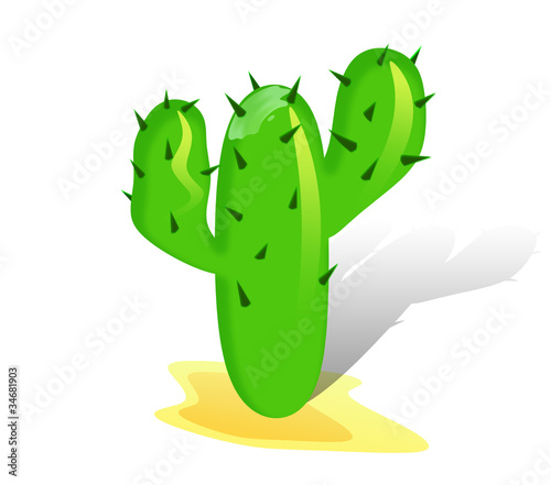 Cactuses