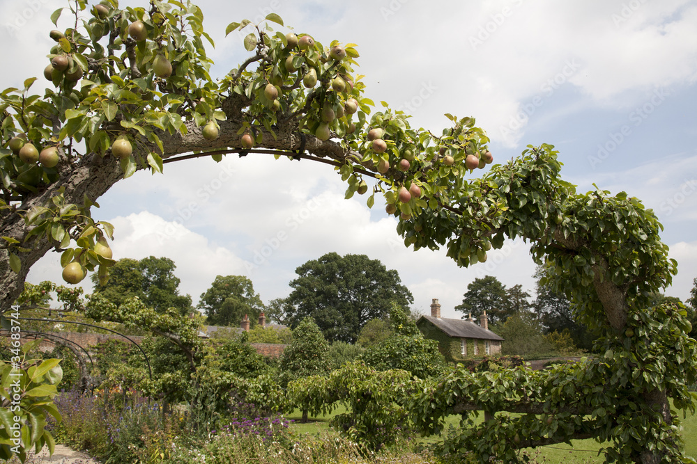 English Cottage Garden through Pear Tree Arch