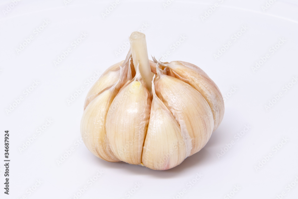 garlic on a white background garlic on a white background