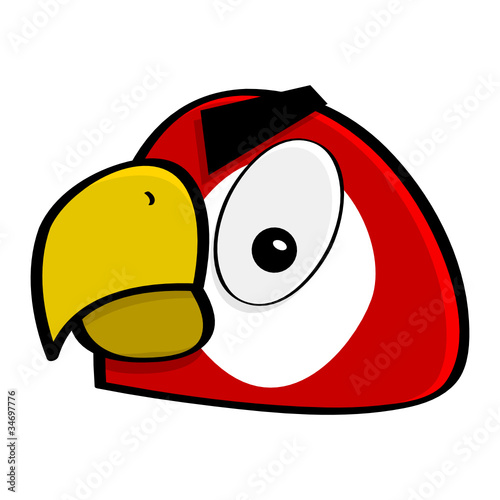 Crazy macaw