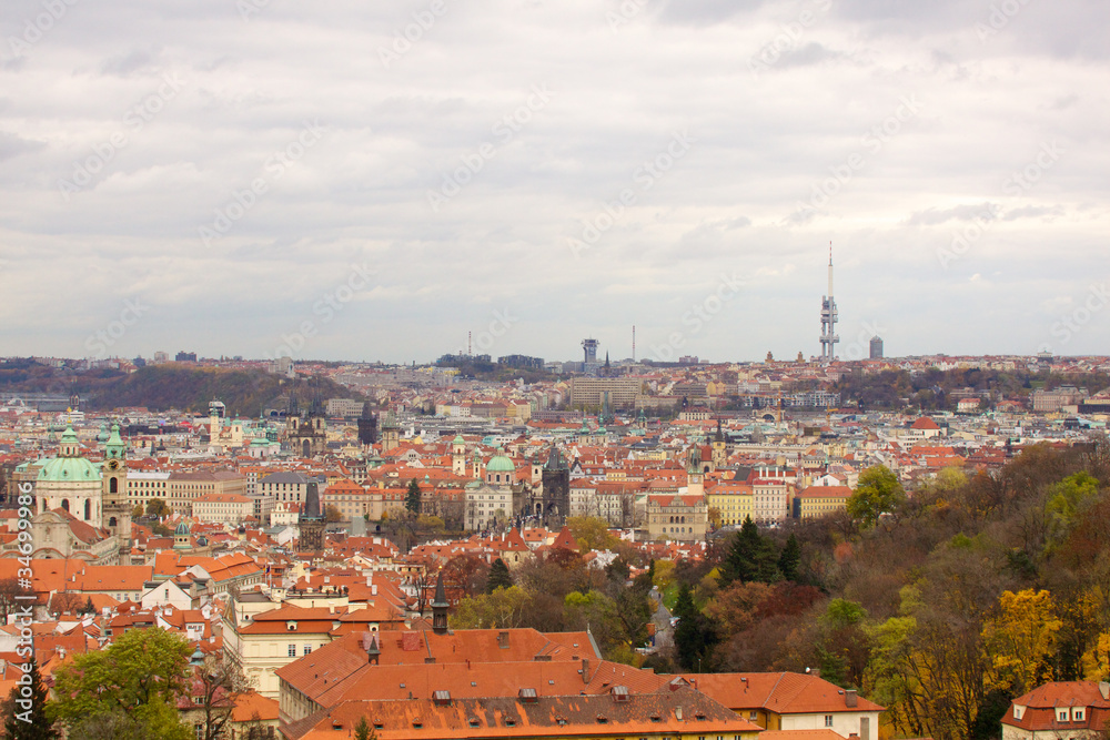 The View on the Prague's gothic Castle and Buildings