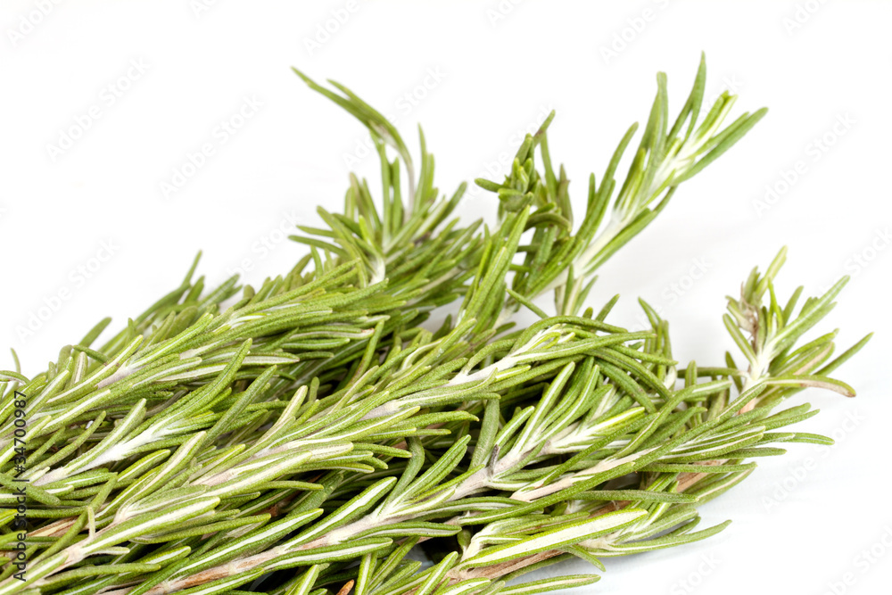 Fototapeta premium rosemary herb isolated on white