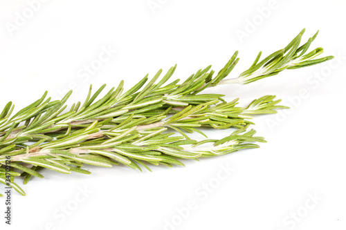 rosemary herb isolated on white