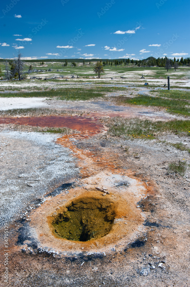 Fountain Flat, ojo caliente, Yellowstone Fountain Flat, ojo caliente, Yellowstone