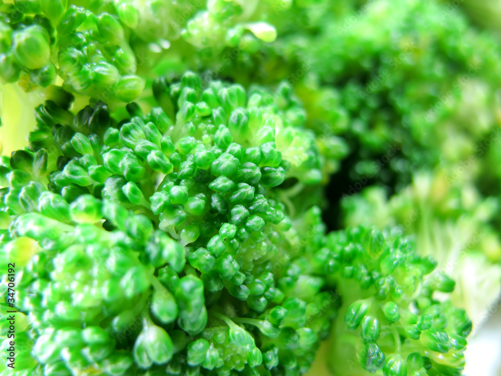Broccoli / Vegetable / Food / Japan Broccoli / Vegetable / Food / Japan
