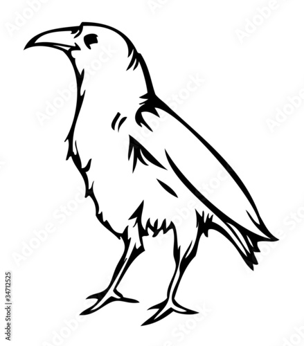 Crow raven, vector illustration
