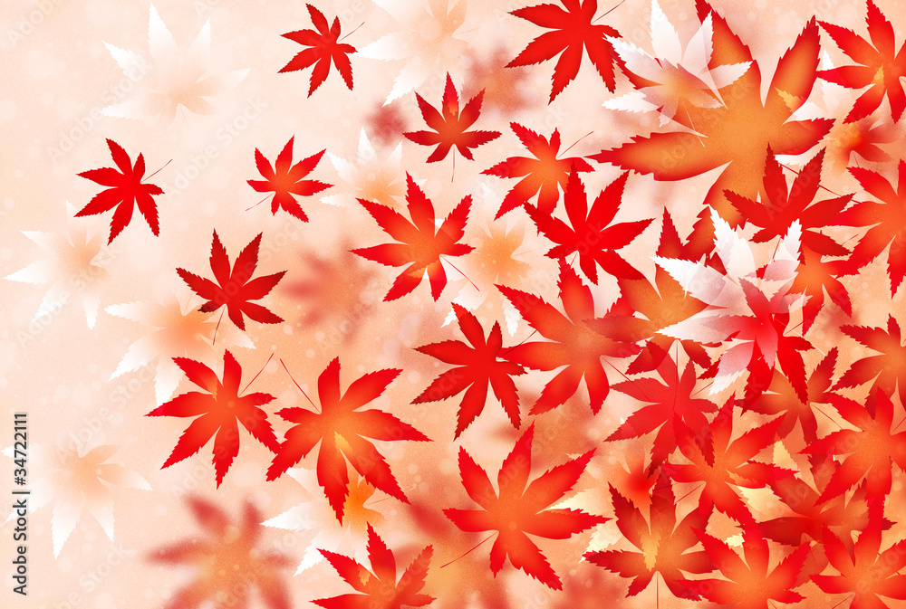Fototapeta premium momiji