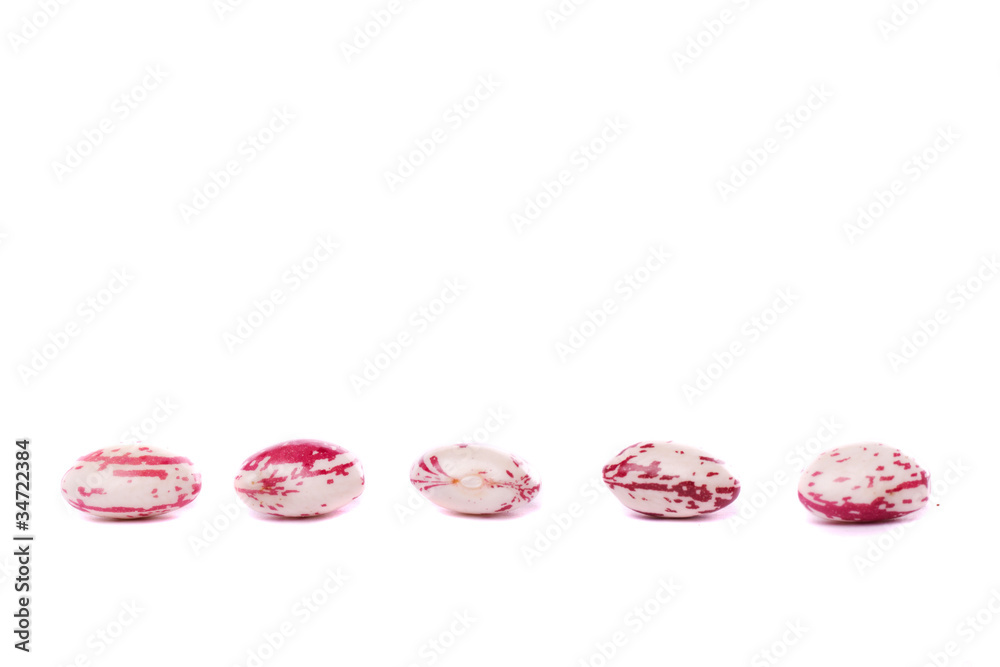borlotti beans borlotti beans