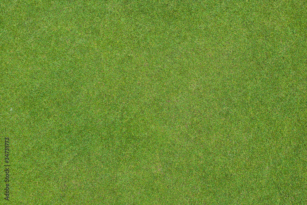 Fototapeta premium Beautiful green grass pattern