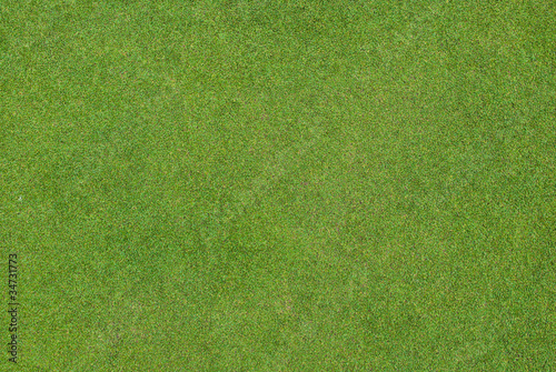 Beautiful green grass pattern © wuttichok