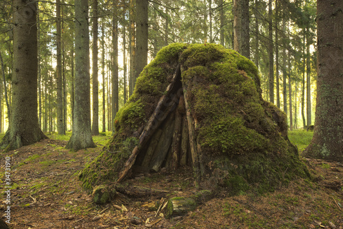 Old coal pit in the woods photo