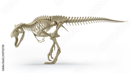trex isolated on white