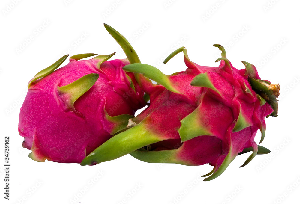 Dragon Fruit Dragon Fruit