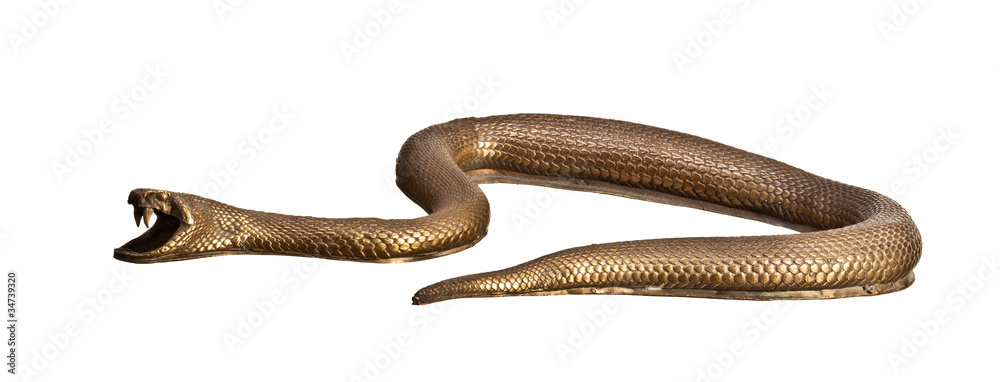 Fototapeta premium Metal snake