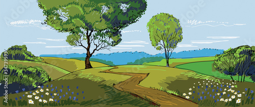 Sunny Meadow landscape