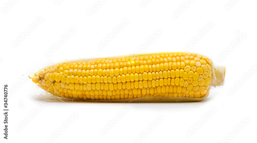 Fresh corn Fresh corn