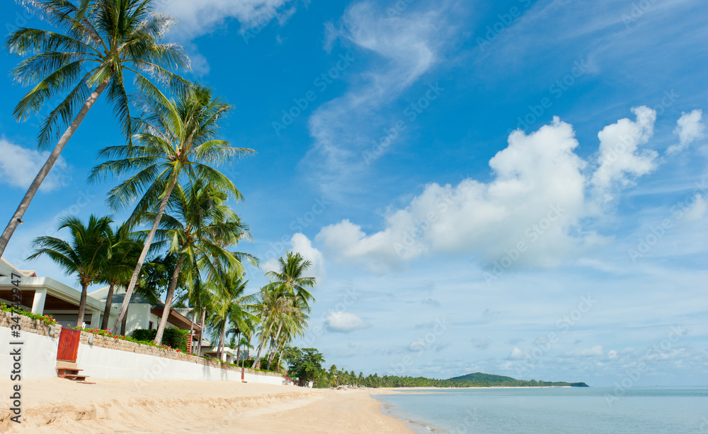 Beautiful house with palm trees on the beach