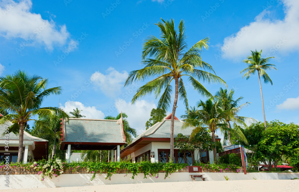 Beautiful house with palm trees on the beach