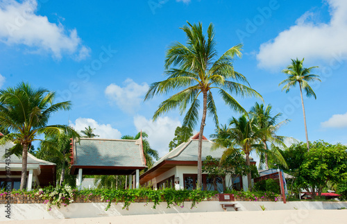 Beautiful house with palm trees on the beach