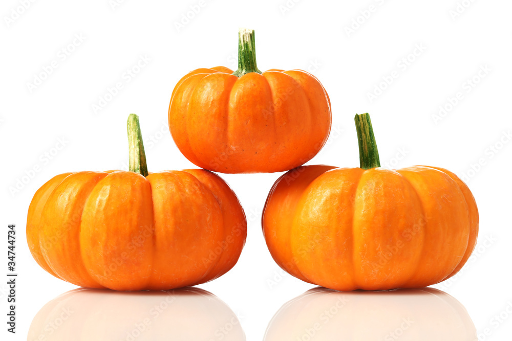 Obraz premium Pumpkins