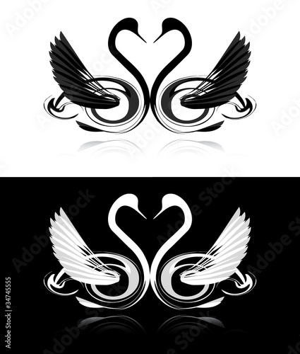 Set of black and white swans