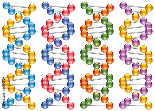 set of colorful dna strands
