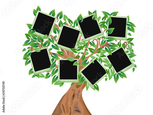 green tree with frames for your photos