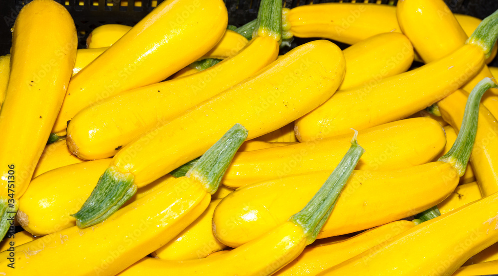 Yellow squash on display at the farmer's market