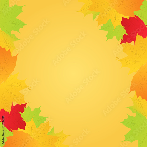Vector Autumn Maple Leaves Frame