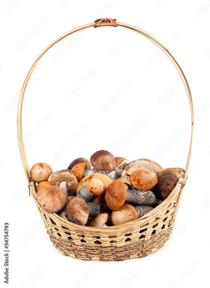 Basket with mushrooms Basket with mushrooms