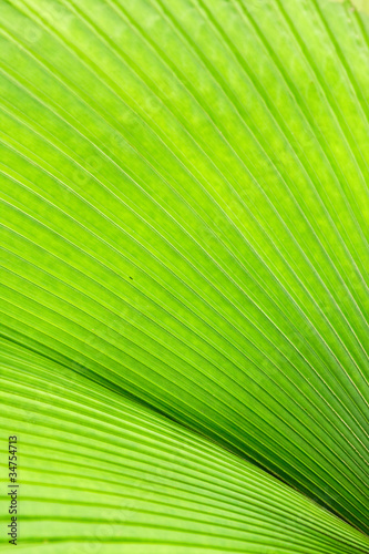 Convergent Greens