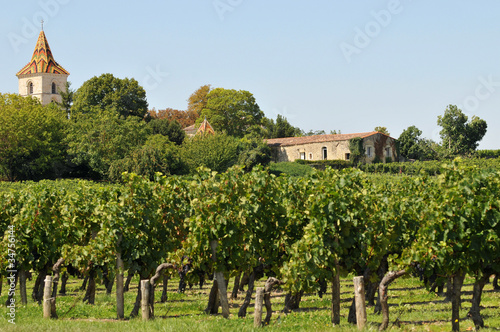 Photos Sur les coteaux de Blaye