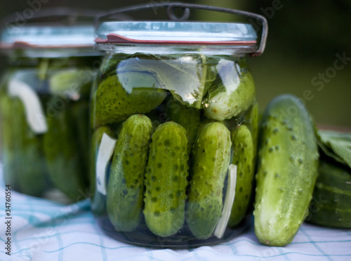 pickled cucumber  / ogórki kiszone