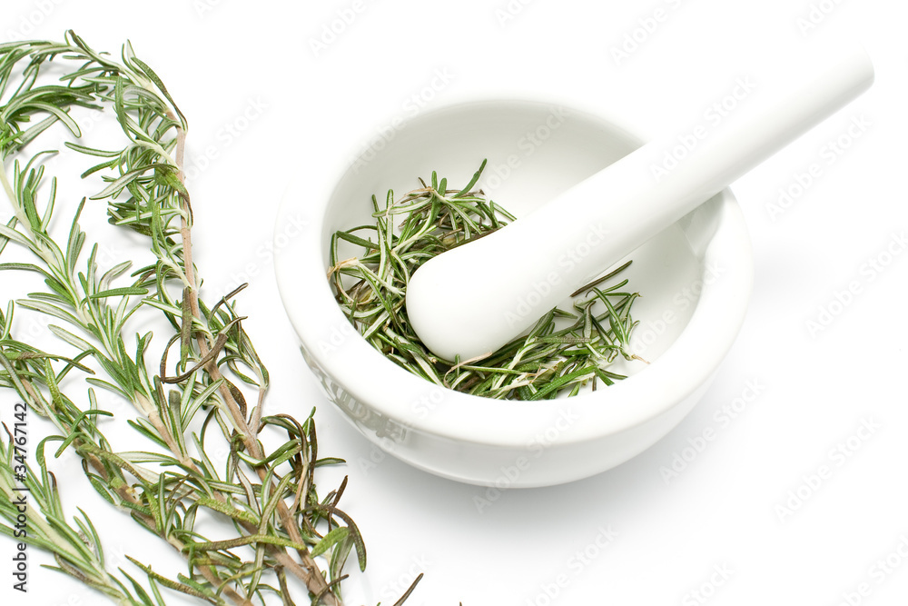 White ceramic mortar and pestle with rosemary
