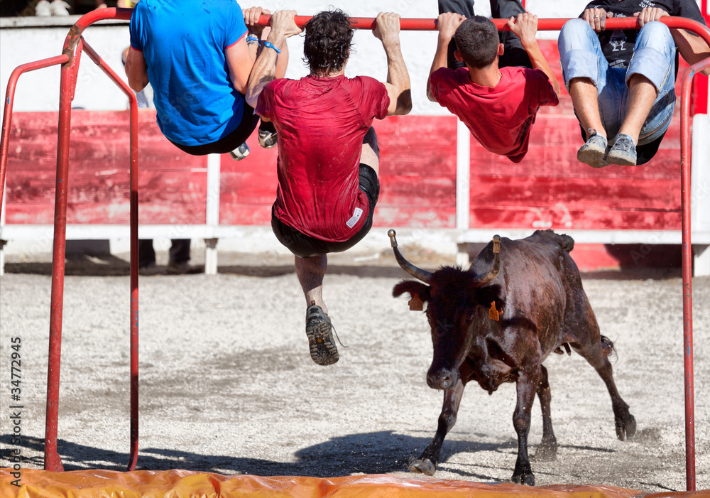 Naklejka premium Course camarguaise