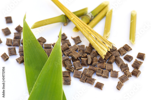 Εκτύπωση καμβά Biopolymer
